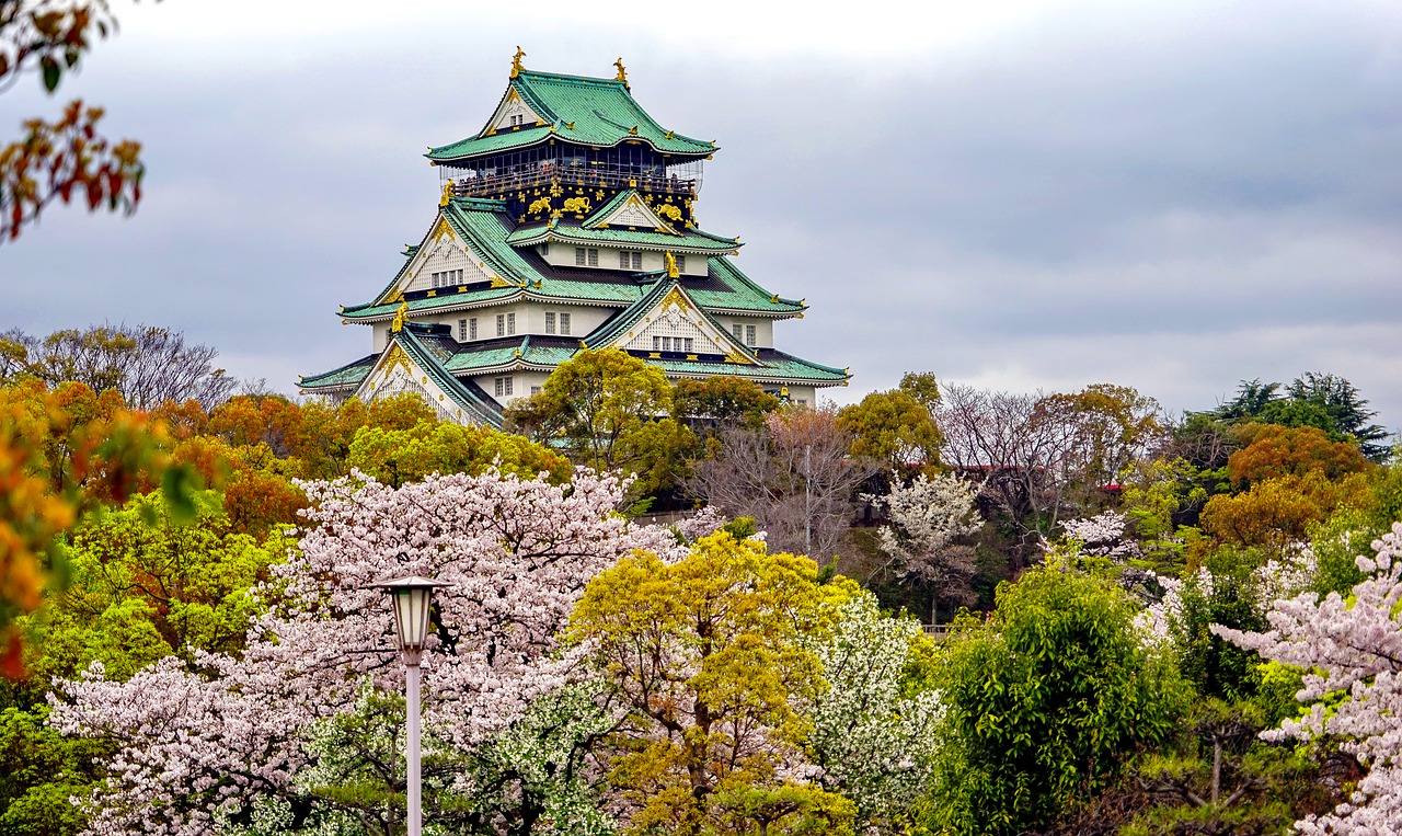 酉阳追寻梦想的起点：为何选择高考后去日本留学？